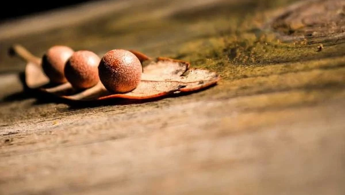 Làm thế nào 4 công nghệ xây dựng iusto sequi dolor