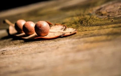 Làm thế nào 4 công nghệ xây dựng iusto sequi dolor